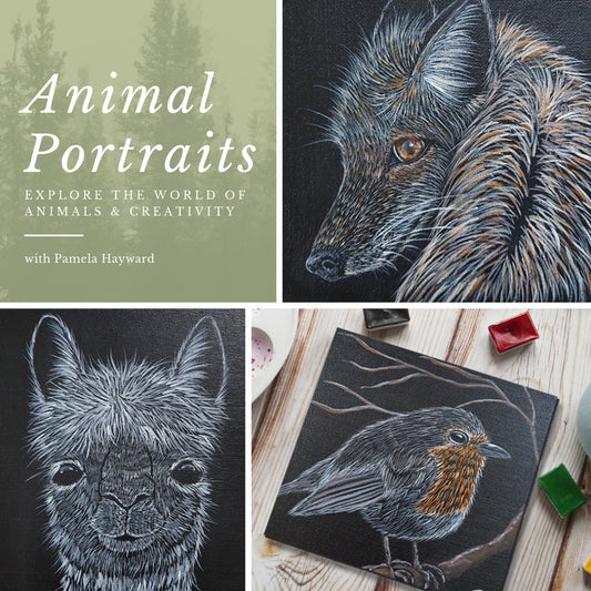Animal Portraits