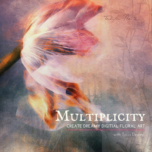 Multiplicity